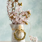 Kirschenzweige-in-Vase