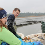 abfischen_wkw_herbst_2019_presse_01[1]
