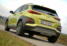 „Grüner“ Familienzuwachs