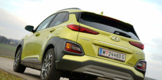 „Grüner“ Familienzuwachs