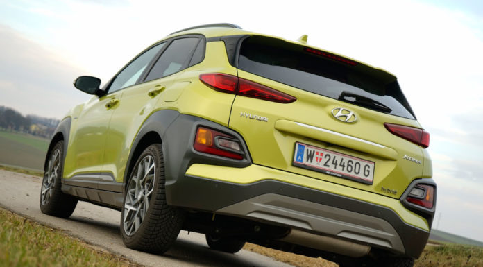 „Grüner“ Familienzuwachs