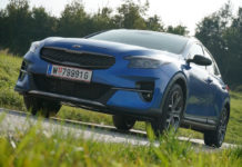 Die grüne Familie wächst weiter