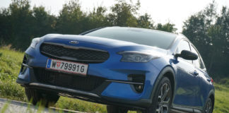 Die grüne Familie wächst weiter