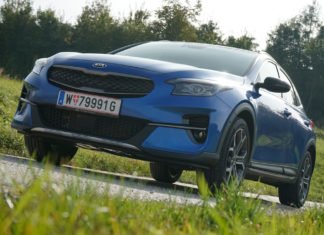 Die grüne Familie wächst weiter