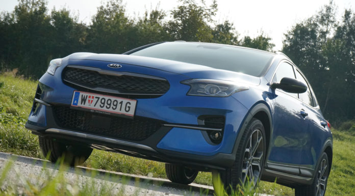 Die grüne Familie wächst weiter