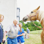 Tiere-PBZ-Ybbs_Copyright-NLK-Pfeiffer