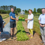 LFS-Mistelbach-Marktgarten_Copyright-Jürgen-Mück