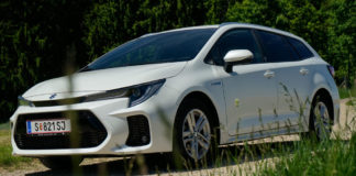 Sportkombi mit „teilgrünem” Pulsschlag