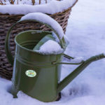 1-Gießkanne-Winter-3955636-c-Dimitri-Houtteman-Pixabay-NIG