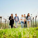 In-die-Grean-gehen-02-(c)-Niederösterreich-Werbung-_-Andreas-Jakwerth[1]