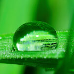 Wasser-tropfen-2986831-c-ju-Irun-auf-Pixabay