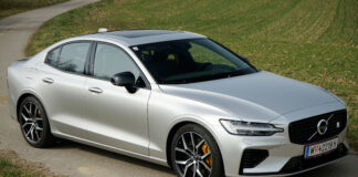 Hybridsportler & Dressman