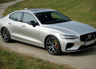 Hybridsportler & Dressman