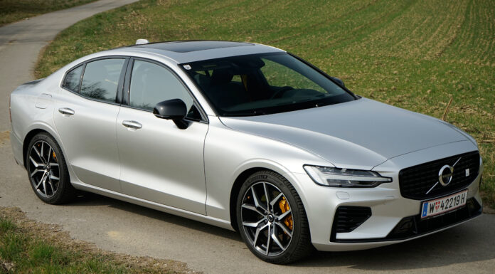 Hybridsportler & Dressman