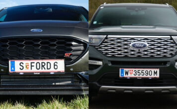 Zwei ungleiche Brüder