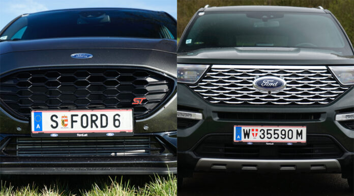 Zwei ungleiche Brüder