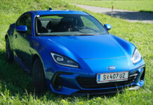 Der letzte Mohikaner