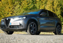 Italienisches Vollblut