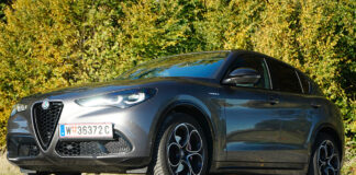 Italienisches Vollblut