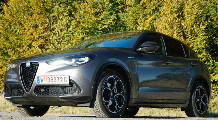 Italienisches Vollblut