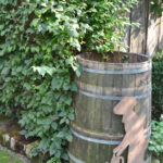 Regentonne c Natur im Garten Benes-Oeller M.