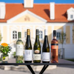 Weinchampions Langenlois Frühjahr 24_Flaschen