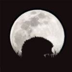 Vector silhouette of hedgehog with moon background. Symbol of ni