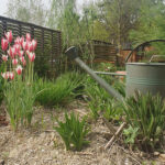 Klimafit_Gartln2_©_Rupert_Wychera