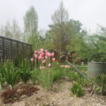 Klimafit_Gartln_©_Rupert_Wychera