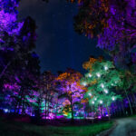 blockheide leuchtet 2018 – andreas biedermann 08