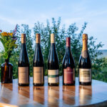 Weinchampions Langenlois Herbst 24_Flaschen