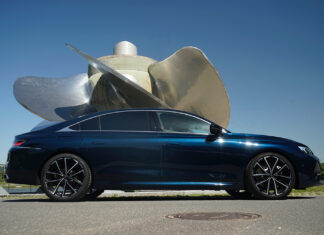 Sportliche Avantgarde