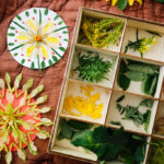 Natural materials for creativity, mandalas from natural material