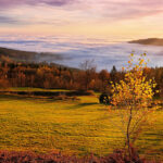 hintergrundHerbst