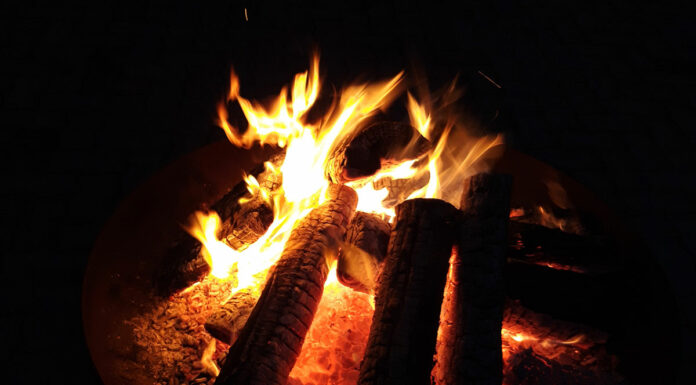 Städtische Brennstoffaktion 2024/2025