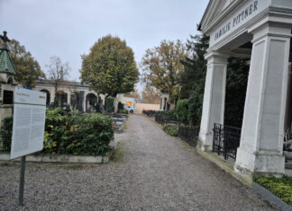 St. Pölten: 21 Menschen-Geschichten am Hauptfriedhof