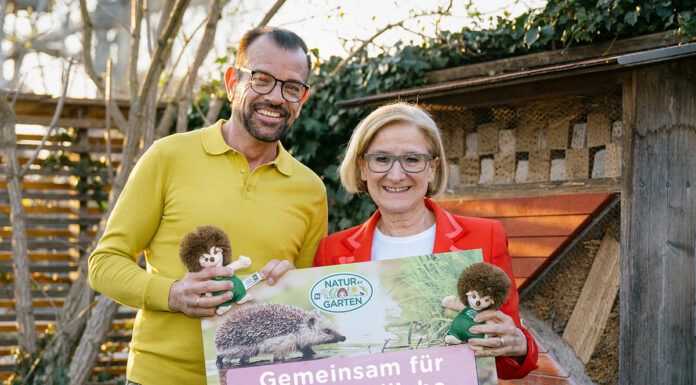 Igelfreundliche Maßnahmen für Niederösterreichs Artenvielfalt