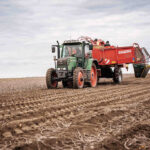 Österreich kann ganzjährig mit heimischen Erdäpfel versorgt werden