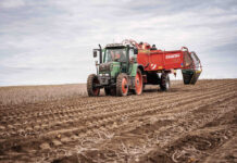 Österreich kann ganzjährig mit heimischen Erdäpfel versorgt werden