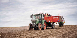 Österreich kann ganzjährig mit heimischen Erdäpfel versorgt werden