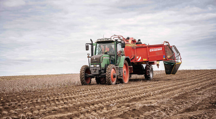 Österreich kann ganzjährig mit heimischen Erdäpfel versorgt werden