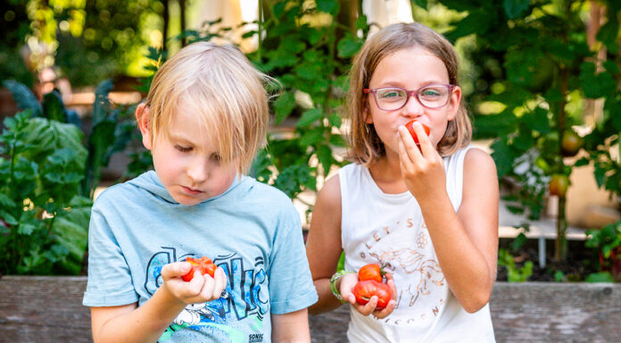 Herbstliches Vergnügen auf der GARTEN TULLN: Kindertag am 13. Oktober