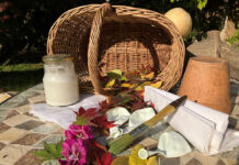 Laternenfest – Basteln mit Laub