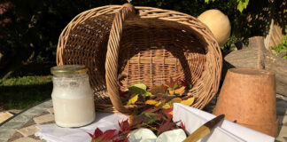 Laternenfest – Basteln mit Laub