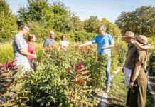 Herbstliche Highlights auf der GARTEN TULLN