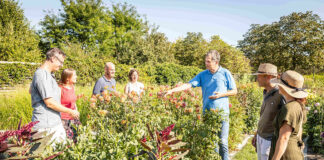 Herbstliche Highlights auf der GARTEN TULLN