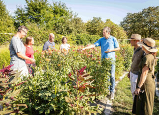Herbstliche Highlights auf der GARTEN TULLN