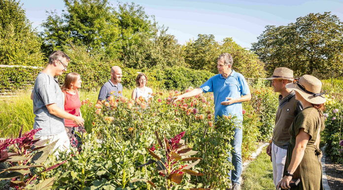 Herbstliche Highlights auf der GARTEN TULLN