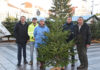 100 Christbäume in St. Pölten gespendet