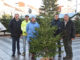 100 Christbäume in St. Pölten gespendet